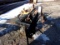 3 pt pto Ditcher, Black