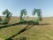 John Deere 200 apx 32' Hyd Fold Crumbler