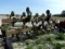 John Deere 845 8 row flat fold Lay-By Cult