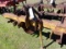 3 pt Levee Disc