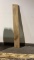 LIVE EDGE - OAK - PROJECT WOOD