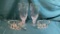CRYSTAL DINNERWARE
