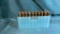 .308 AMMUNITION