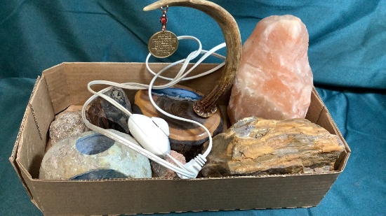 FOSSILIZED WOOD, POLISHED ROCKS AGATES AND MORE