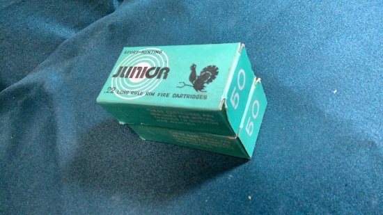 .22LR AMMUNITION