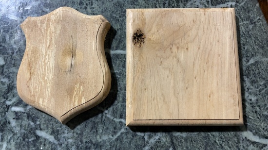 (2) PLAQUE BLANKS