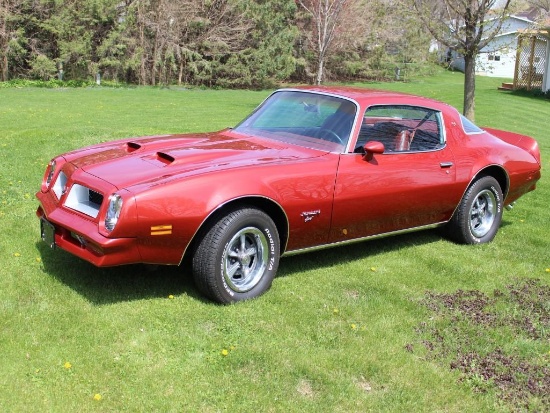 1976 Pontiac Firebird Esprit