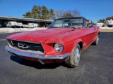 1967 Ford Mustang - SELLING NO RESERVE