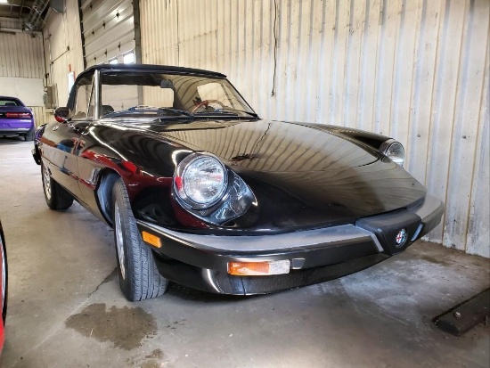 1984 Alfa Romeo Veloce Spider