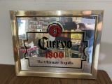 Cuervo 1800 Tequila Mirror