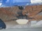 HARBOR BREEZE INDOOR/OUTDOOR CEILING FAN