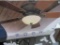 HARBOR BREEZE INDOOR CEILING FAN W/ LIGHT