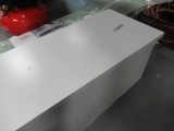 WHITE CABINET