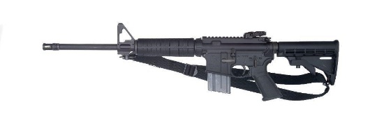 *Ruger AR-556 Rifle