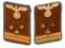 Pair of German Third Reich NSDAP Haupteinsatzleiter Collar Patches