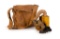WWI U.S. M1917 Small Box Respirator (SBR) with Bag