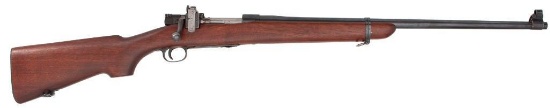 **Springfield MI .22 Rifle