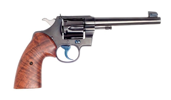 **Colt Officer's Model Target