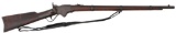 Model 1860 Spencer Repeating Rifle