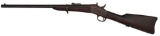 Remington Rolling Block Carbine