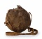 U.S. Model 1858 Canteen
