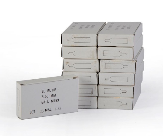 160 Rounds of 5.56mm Ammunition