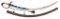 Mexican Officer's Sword of General Antonio Lopez de Santa Anna Captured at San Jacinto