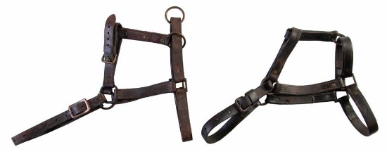 Lot of Two M1904 Halters