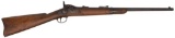 Early Springfield U.S. Model 1873 Trapdoor Carbine