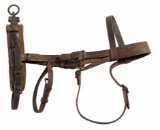 M1912 Cavesson for Training Purposes