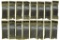 16 Magpul PMAG 30 AR/M4 GEN M2 Rifle Magazines