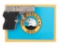 *North American Arms Guardian Pistol