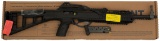 *Hi-Point Firearms Model 1095 Carbine