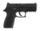 *SIG Sauer Model P250 Pistol