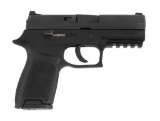*SIG Sauer Model P250 Pistol