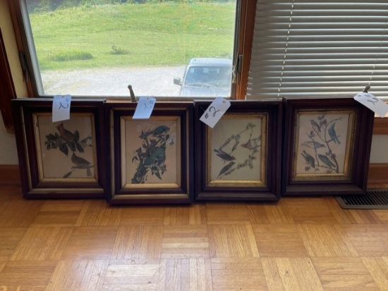 4 Framed Bird Prints
