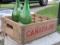 Canada Dry Soda Crate with 2 bottles