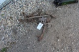 GOPHER TRAPS, NO SHIPPING, PICKUP ONLY