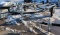 *** 2007 TEBBEN 2 PLACE JET SKI TRAILER,