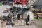 Lister Diesel 30HP Engine, Electric Start, SN:9733,