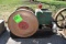 Alpha Type F 2.5hp gas Engine, Wico Mag, Oiler, motor Is Free, SN:51341