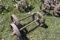 2 Steel Wheeled Axles