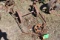 3 Wheeled Cart