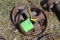 (2) Steel Casters