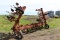 IH 133 12R30” Cultivator, C Shank