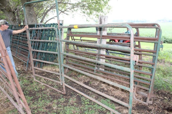 10' Corral Panel With 44" Walk Though Gate, Needs Repair