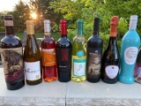 Wine Trunk- 20 bottles of various wines