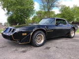 **1979 PONTIAC TRANS AM, BLACK COLOR, GOLD PIN