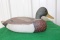 Wooden decoy