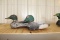 (2) wooden duck decoys